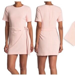 Cinq ā Sept Wrap Tie Bia Panel Blush Pink Melon Preppy Classy Mini Dress Size 6